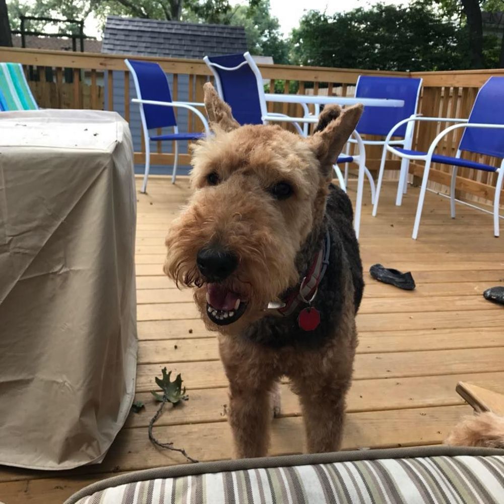 Meet your Posher, Shari